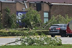 Jay County High School Tornado: Safety & Preparedness | Best Schools in America: Top Public & Private Options
