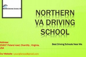 Top Driving Schools For Adults Near You | Best Schools in America: Top Public & Private Options