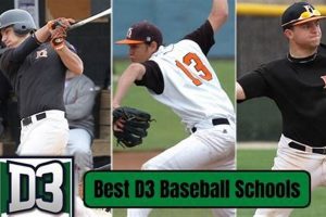 Top Best D3 Schools: Ultimate Guide | Best Schools in America: Top Public & Private Options