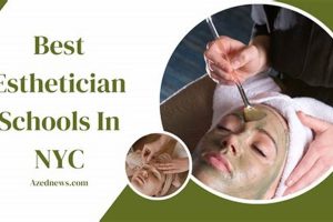 Top NYC Esthetician Schools: 2024 Guide | Best Schools in America: Top Public & Private Options