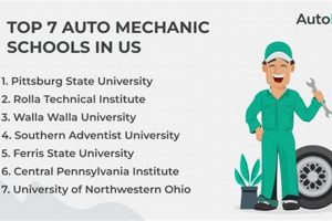 Top US Mechanic Schools & Training Programs Best Schools in America: Top Public & Private Options Top US Mechanic Schools & Training Programs | Best Schools in America: Top Public & Private Options