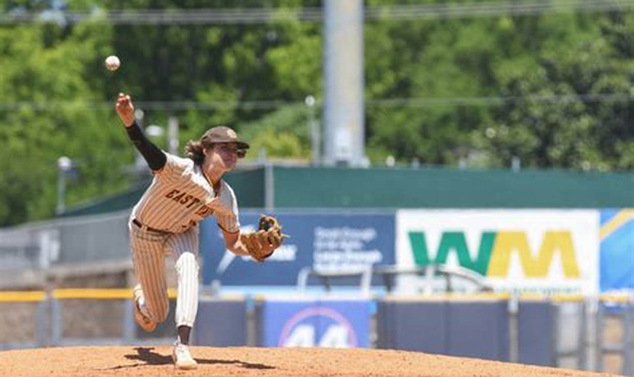 Stinger High School Baseball National Championship 2024 | Best Schools in America: Top Public & Private Options