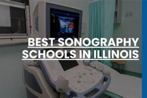 Top Sonography Schools in Illinois: 2024 Guide | Best Schools in America: Top Public & Private Options