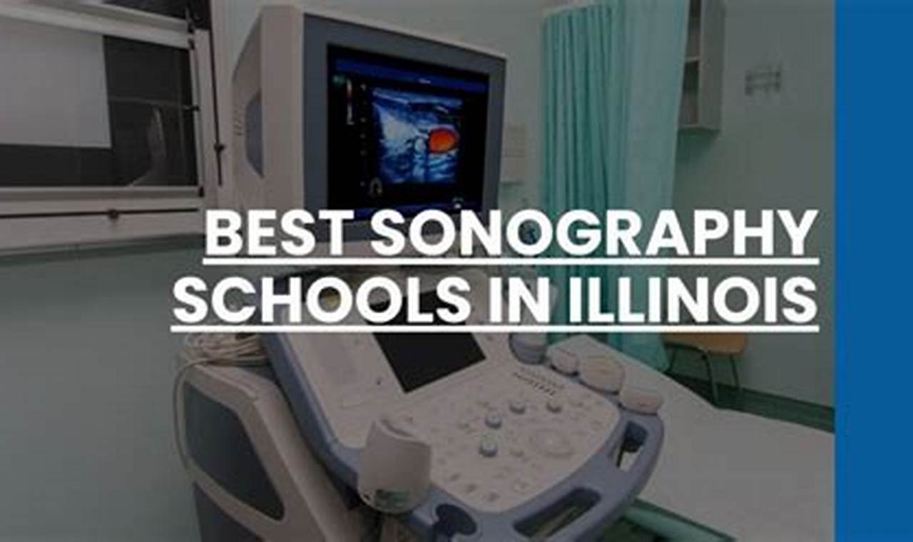 Top Sonography Schools in Illinois: 2024 Guide | Best Schools in America: Top Public & Private Options