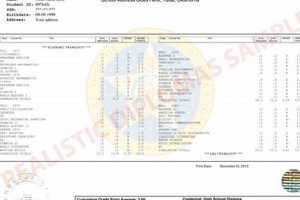 Dangers of Fake High School Transcripts & Consequences | Best Schools in America: Top Public & Private Options