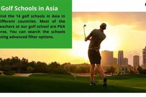 Top 5 Best Golf Schools: Find Your Perfect Swing | Best Schools in America: Top Public & Private Options