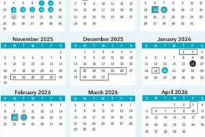 Official Horry County Schools Schedule 2023-24 Best Schools in America: Top Public & Private Options Official Horry County Schools Schedule 2023-24 | Best Schools in America: Top Public & Private Options