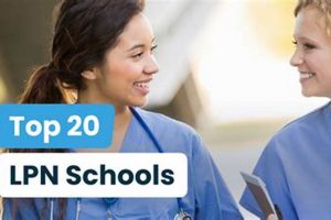 Top 10 Best LPN Schools: 2024 Guide | Best Schools in America: Top Public & Private Options