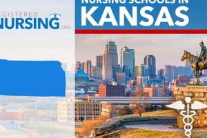 Top Nursing Schools in Kansas: 2024 Guide | Best Schools in America: Top Public & Private Options