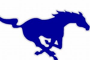 Dobson High Football: Home of the Mustangs | Best Schools in America: Top Public & Private Options