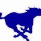 Dobson High Football: Home of the Mustangs | Best Schools in America: Top Public & Private Options