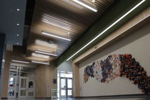 Comal Creek Elementary School | Best Schools in America: Top Public & Private Options