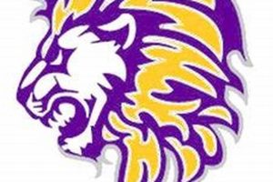 Virginia: Tallwood High School Football Triumphs | Best Schools in America: Top Public & Private Options