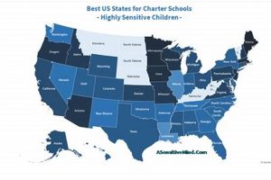 Top US Charter Schools: A Parent's Guide Best Schools in America: Top Public & Private Options Top US Charter Schools: A Parent's Guide | Best Schools in America: Top Public & Private Options