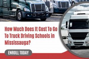 Find the Best Truck Driving School Near You | Best Schools in America: Top Public & Private Options