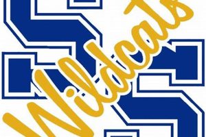 Wildcats Football: Sulphur Springs High School | Best Schools in America: Top Public & Private Options