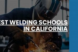 Top 5 Best Welding Schools in California 2024 Best Schools in America: Top Public & Private Options Top 5 Best Welding Schools in California 2024 | Best Schools in America: Top Public & Private Options