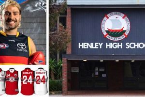 Go Henley Hornets! High School Football News & Scores Best Schools in America: Top Public & Private Options Go Henley Hornets! High School Football News & Scores | Best Schools in America: Top Public & Private Options