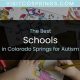 Top Autism Schools in Colorado: A Guide | Best Schools in America: Top Public & Private Options