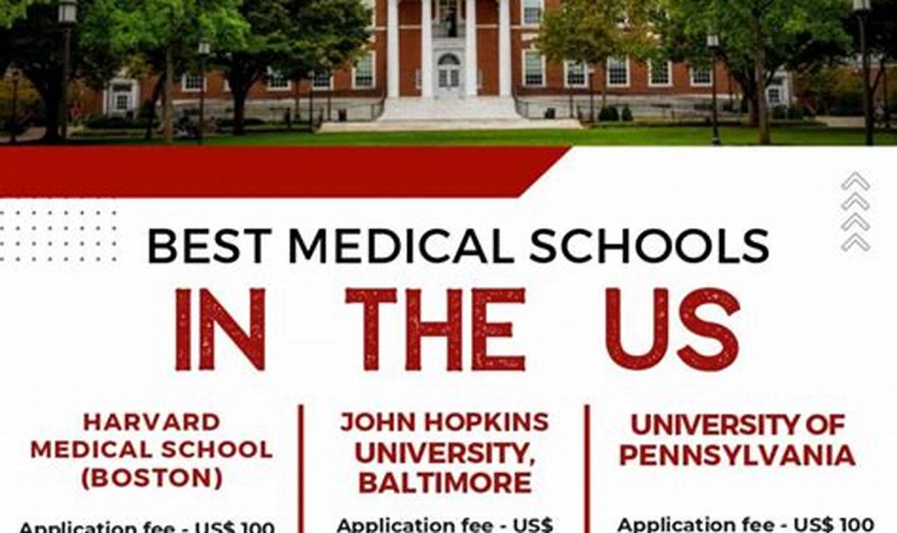 Top 10 Best Med Schools in the USA 2024 | Best Schools in America: Top Public & Private Options