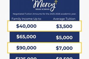 Affordable Mercy High School Tuition & Fees Best Schools in America: Top Public & Private Options Affordable Mercy High School Tuition & Fees | Best Schools in America: Top Public & Private Options