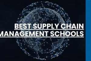 Top 10 Best Supply Chain Management Schools in 2024 | Best Schools in America: Top Public & Private Options