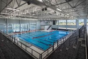 Verona High School Pool: Swim, Dive, & Thrive Best Schools in America: Top Public & Private Options Verona High School Pool: Swim, Dive, & Thrive | Best Schools in America: Top Public & Private Options