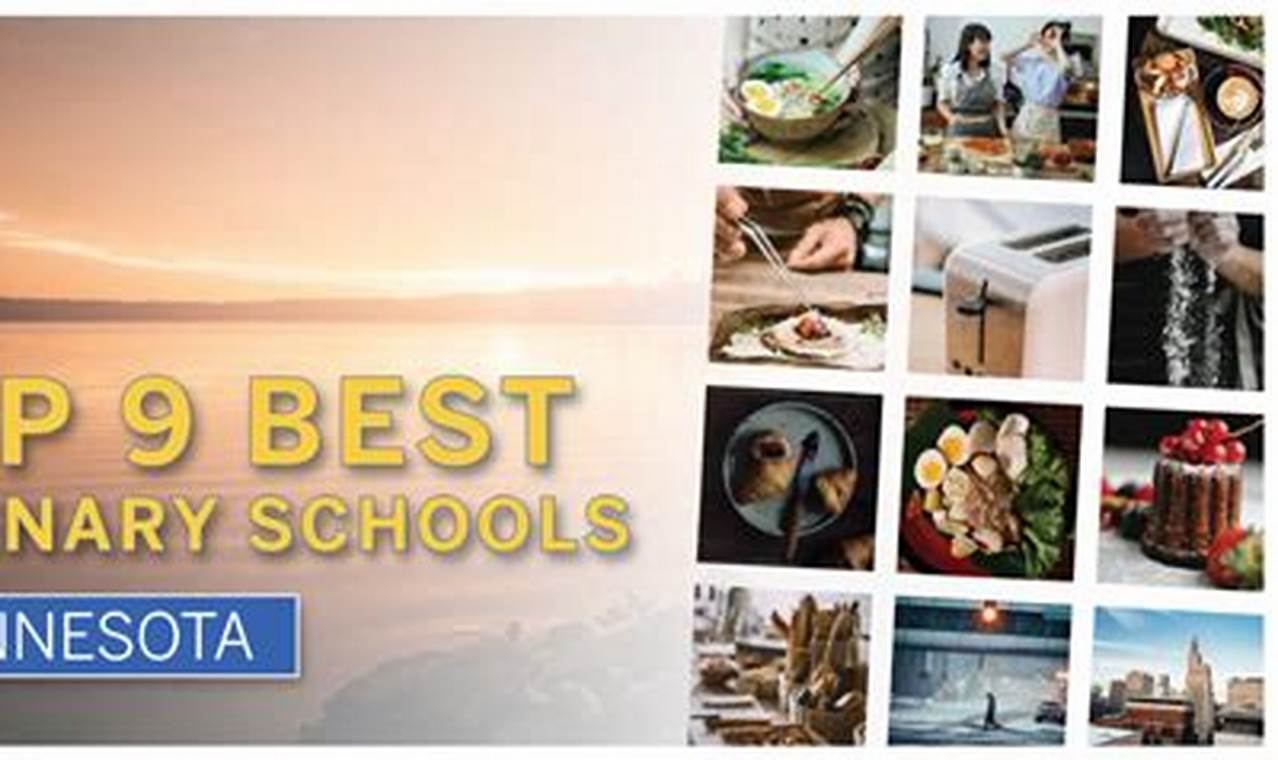 Top Culinary Schools in MN: 2024 Guide | Best Schools in America: Top Public & Private Options