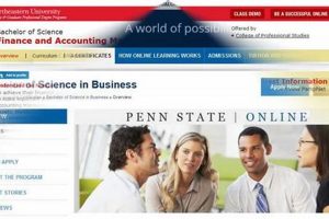Top 10 Best Online Accounting Schools 2024 | Best Schools in America: Top Public & Private Options