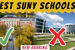 Top 10 Best SUNY Schools & Colleges (2024) | Best Schools in America: Top Public & Private Options