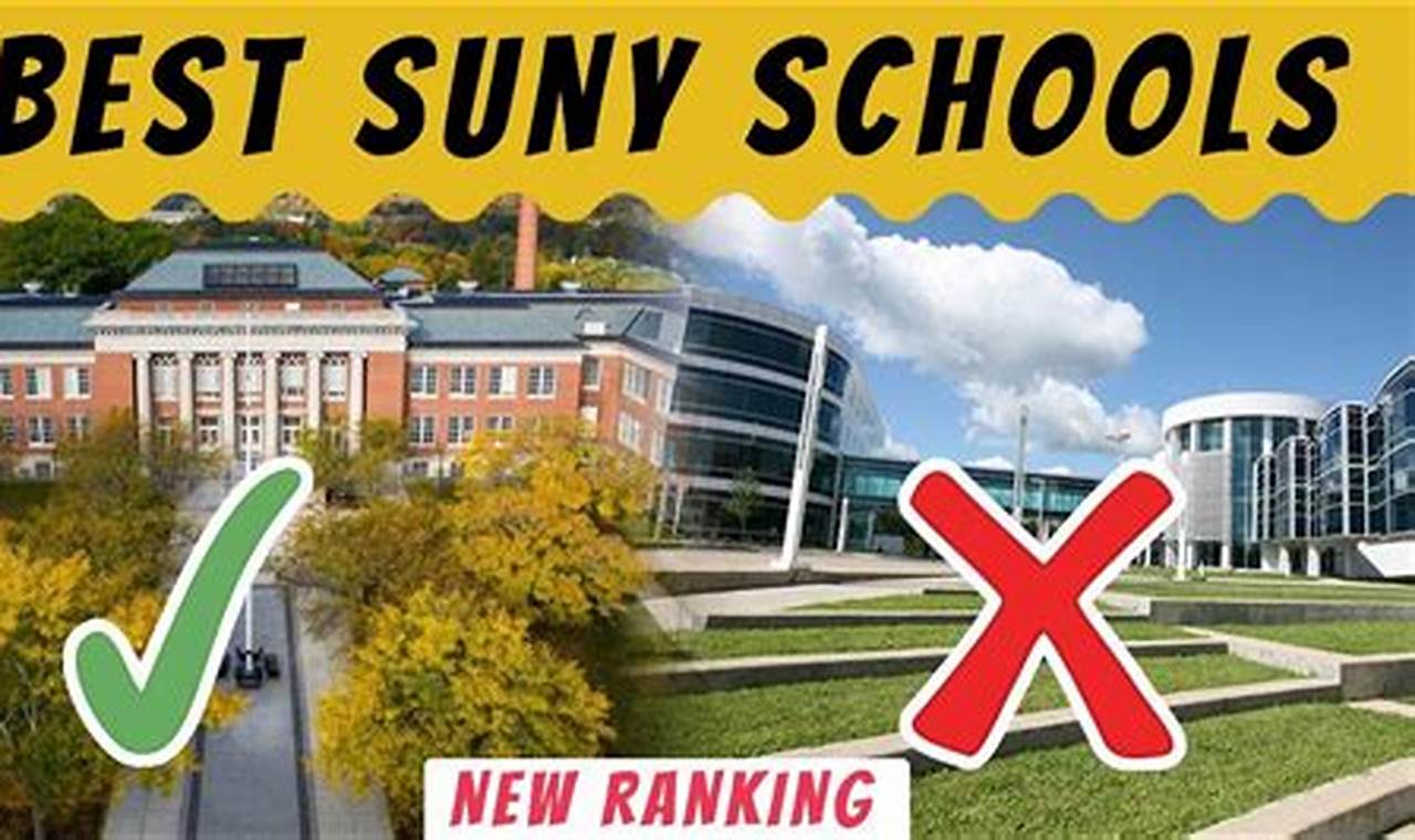 Top 10 Best SUNY Schools & Colleges (2024) | Best Schools in America: Top Public & Private Options