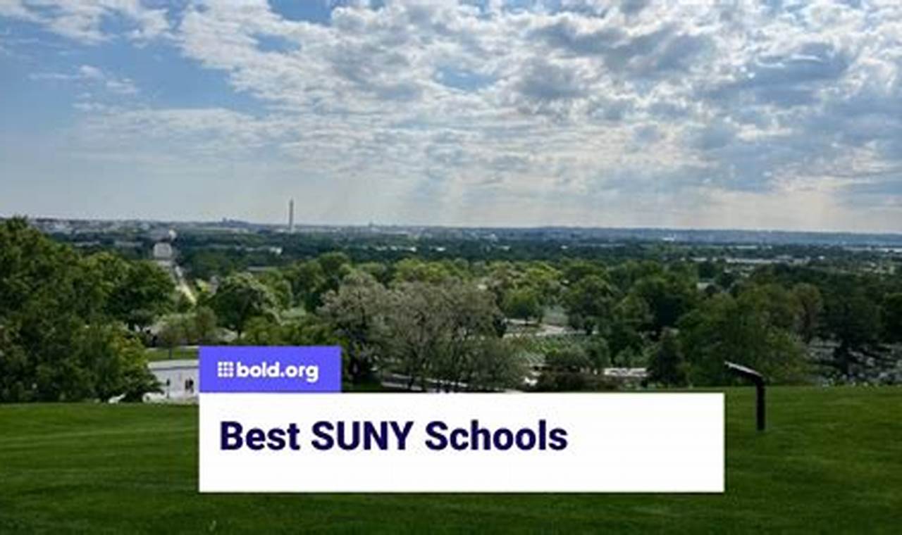 Top Ranked SUNY Schools & Colleges 2024 | Best Schools in America: Top Public & Private Options