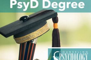 Top 10 Best Schools for PsyD Programs 2024 | Best Schools in America: Top Public & Private Options