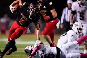 TN HS Football Rankings 2024: Top Predictions | Best Schools in America: Top Public & Private Options