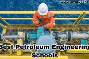 Top 10 Best Petroleum Engineering Schools & Programs Best Schools in America: Top Public & Private Options Top 10 Best Petroleum Engineering Schools & Programs | Best Schools in America: Top Public & Private Options
