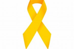 Top 10 Best Yellow Ribbon Schools: Vet Guide | Best Schools in America: Top Public & Private Options