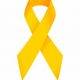 Top 10 Best Yellow Ribbon Schools: Vet Guide | Best Schools in America: Top Public & Private Options