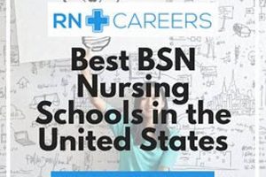 Top Ranked Best BSN Nursing Schools: 2024 Guide | Best Schools in America: Top Public & Private Options