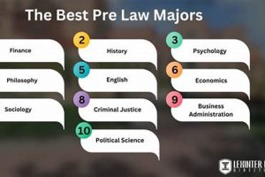 Best Jobs Before Law School | Best Schools in America: Top Public & Private Options