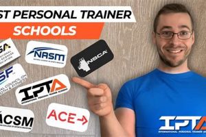 Top Personal Trainer Certification Schools & Programs | Best Schools in America: Top Public & Private Options
