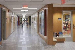 Top-Rated Chestnut Hill Elementary School: A Guide | Best Schools in America: Top Public & Private Options