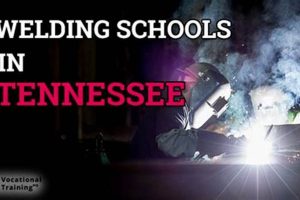 Top 5 Welding Schools in Tennessee 2024 | Best Schools in America: Top Public & Private Options