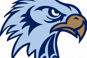 Salem Hills High Football: Skyhawks Dominate! | Best Schools in America: Top Public & Private Options