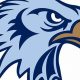 Salem Hills High Football: Skyhawks Dominate! | Best Schools in America: Top Public & Private Options