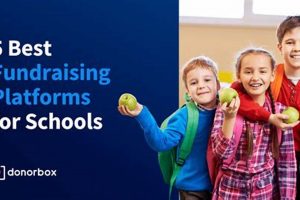Top 5 Fundraising Platforms for Schools in 2024 | Best Schools in America: Top Public & Private Options