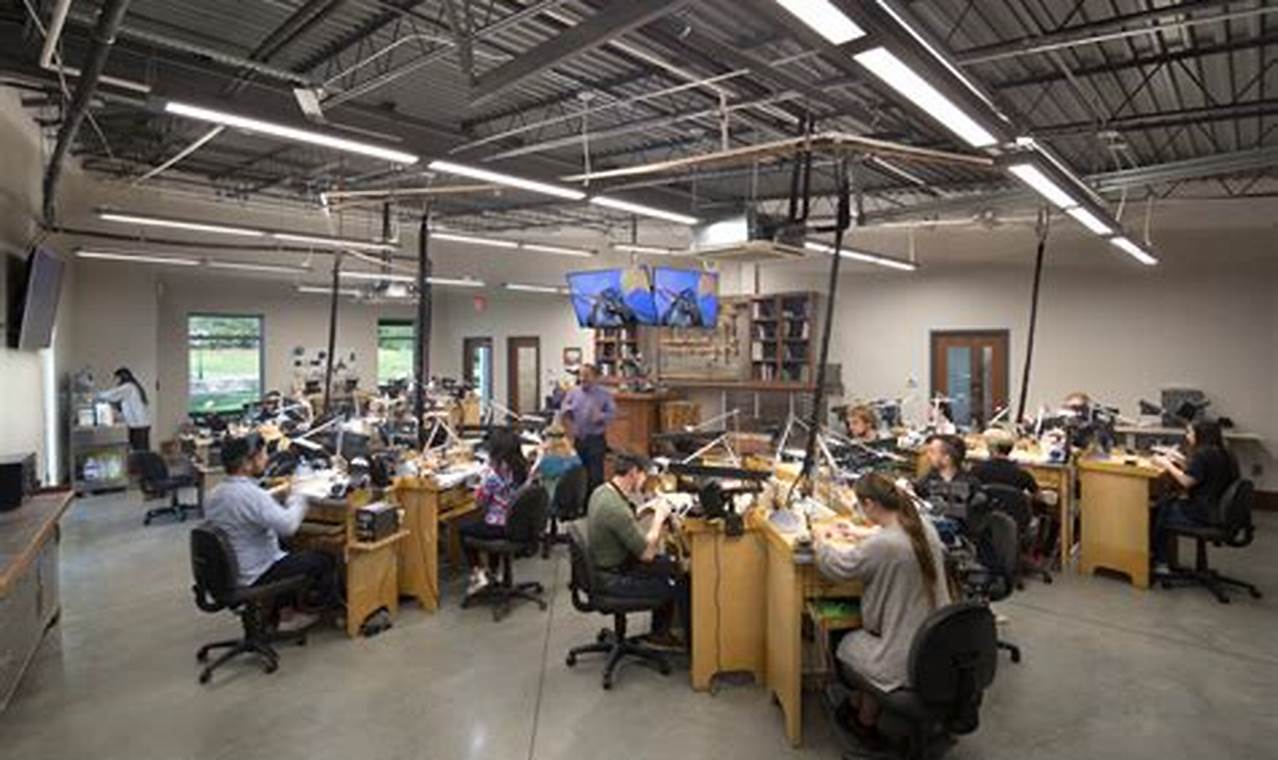 Top 10 Best Jewelry Schools in USA 2024 | Best Schools in America: Top Public & Private Options