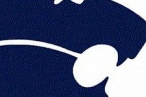 Chatham HS Football: Team News & Updates | Best Schools in America: Top Public & Private Options