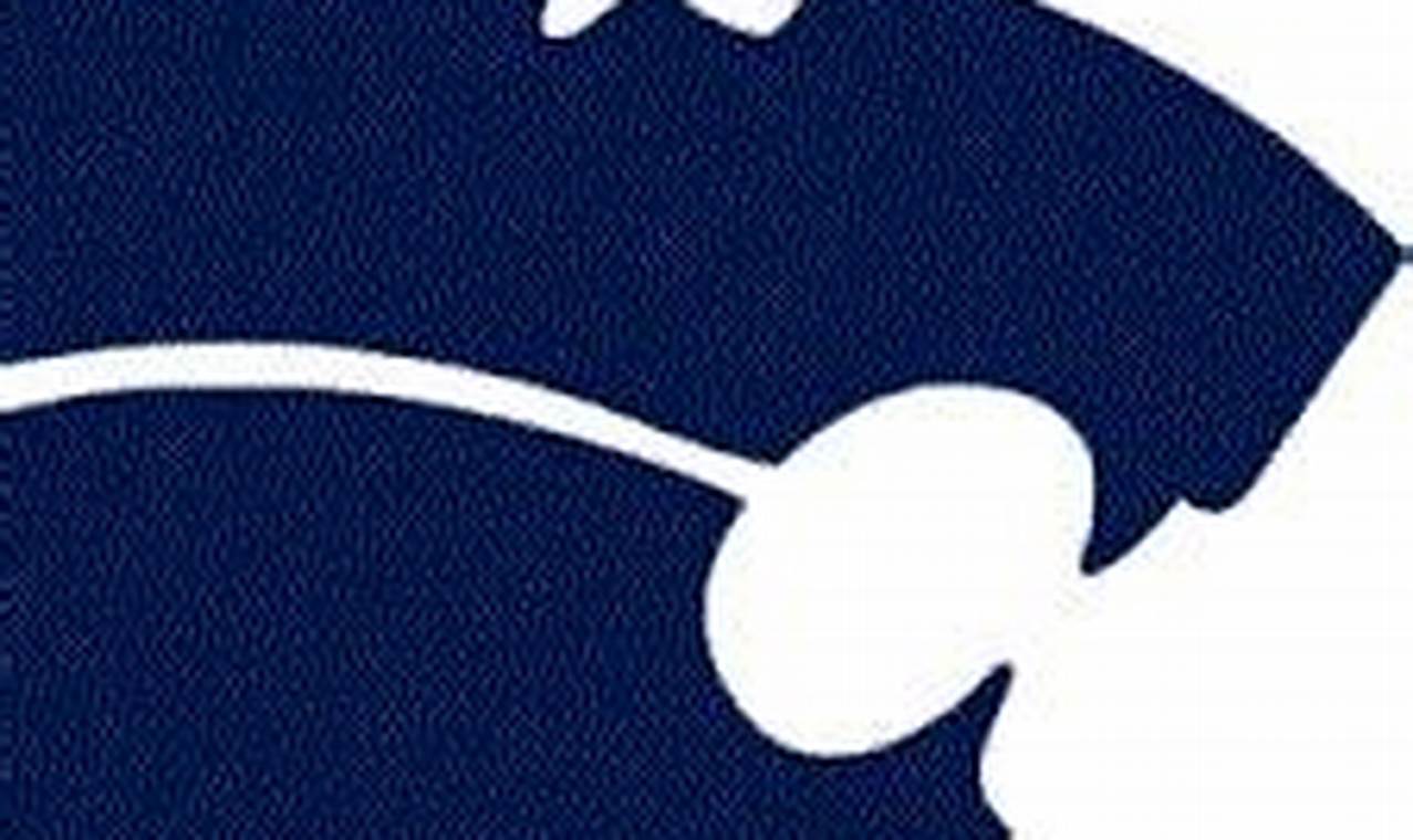 Chatham HS Football: Team News & Updates | Best Schools in America: Top Public & Private Options