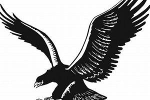 Brandon HS Football: 2024 Schedule & Tickets | Best Schools in America: Top Public & Private Options