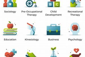 Top US OT Schools: Find the Best Programs | Best Schools in America: Top Public & Private Options